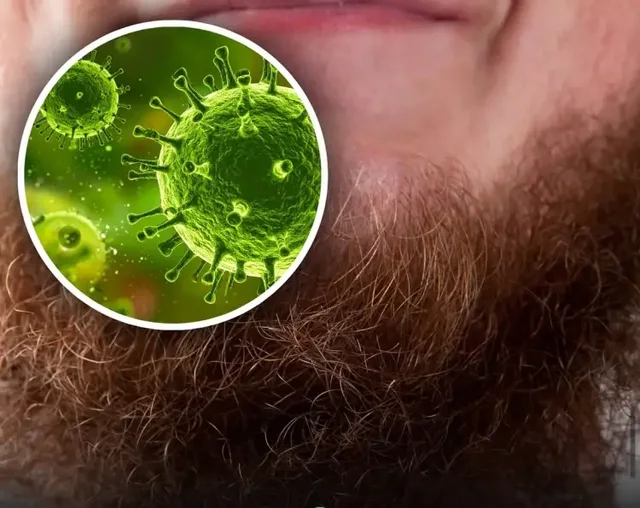 Mjekrat e burrave mund të jenë një “fole” për baktere më shumë se trupi i qenve