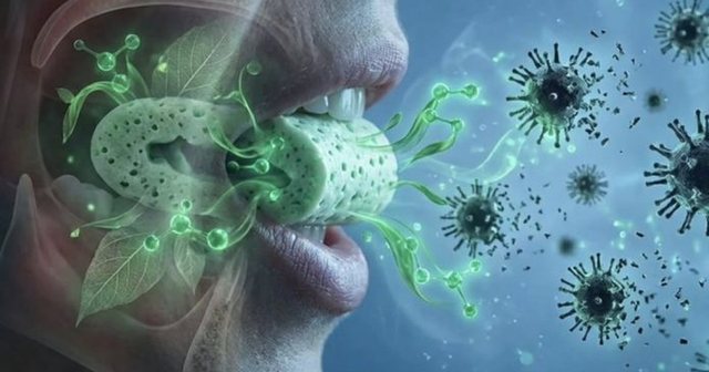 Shkencëtarët krijojnë çamçakëzin bimor që neutralizon viruset në gojë